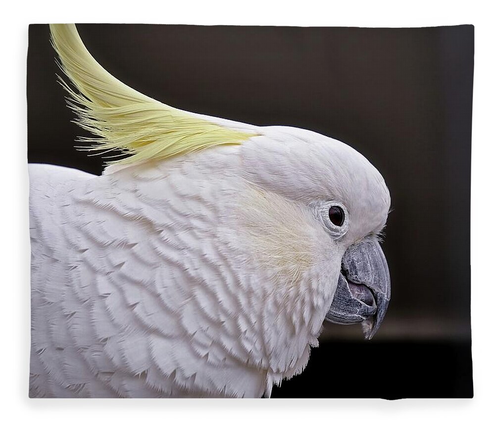 Cockatoo Fleece Blanket featuring the photograph White cockatoo by Martin Smith
