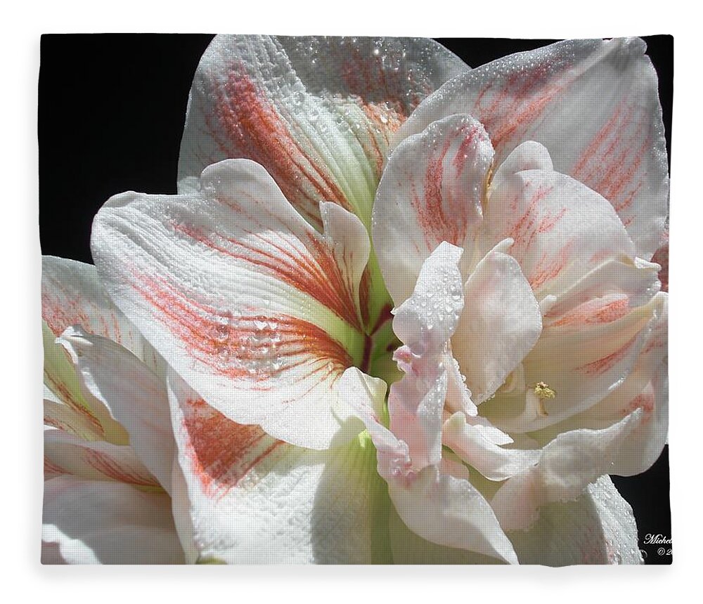 Flower Fleece Blanket featuring the photograph White Glory by Michele Penn