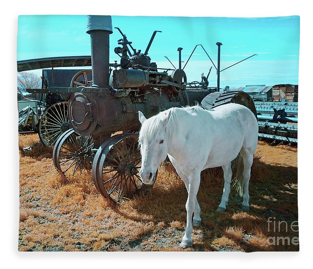 Pasture Fleece Blanket featuring the photograph White Horse Iron Horse by Martin Konopacki