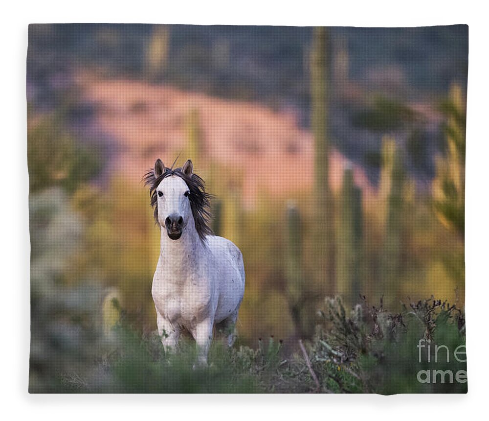 Stallion Fleece Blanket featuring the photograph White Stallion by Shannon Hastings