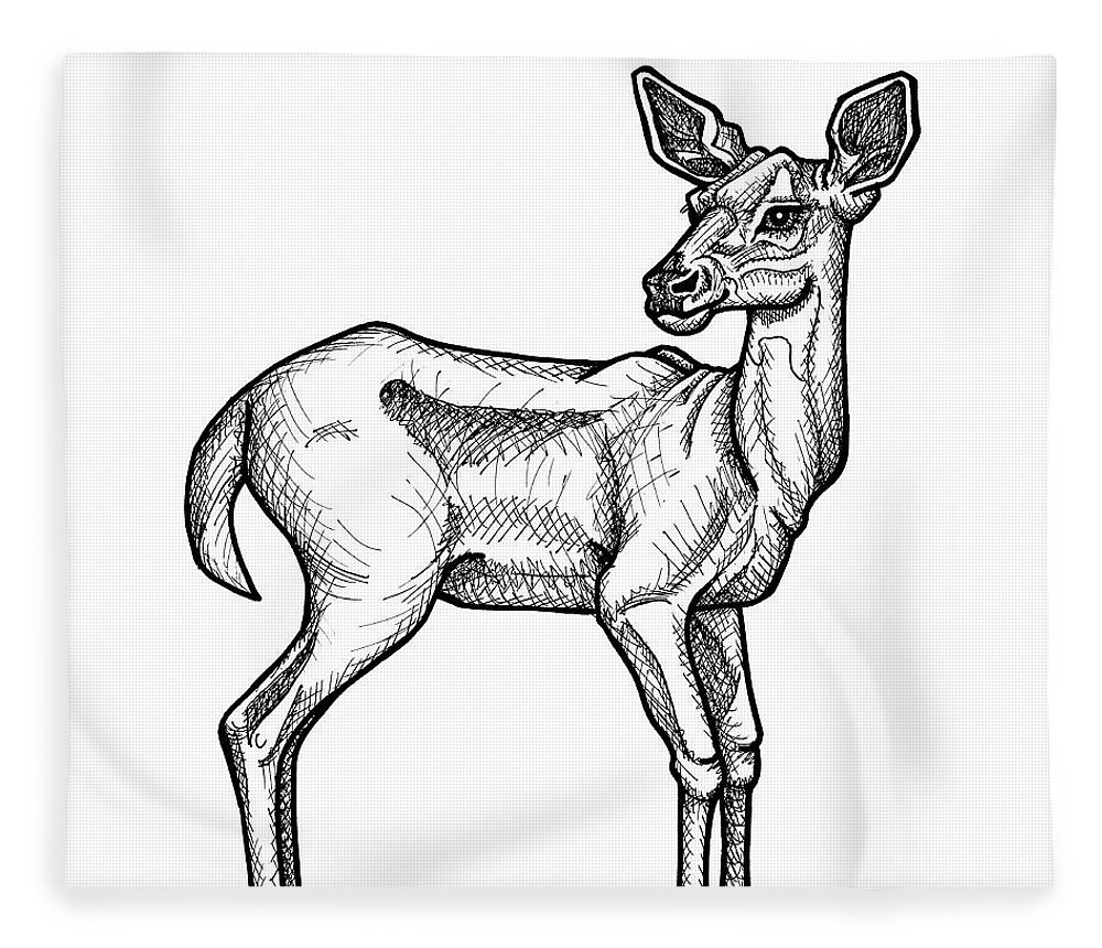 Animal Portrait Fleece Blanket featuring the drawing White Tailed Doe by Amy E Fraser