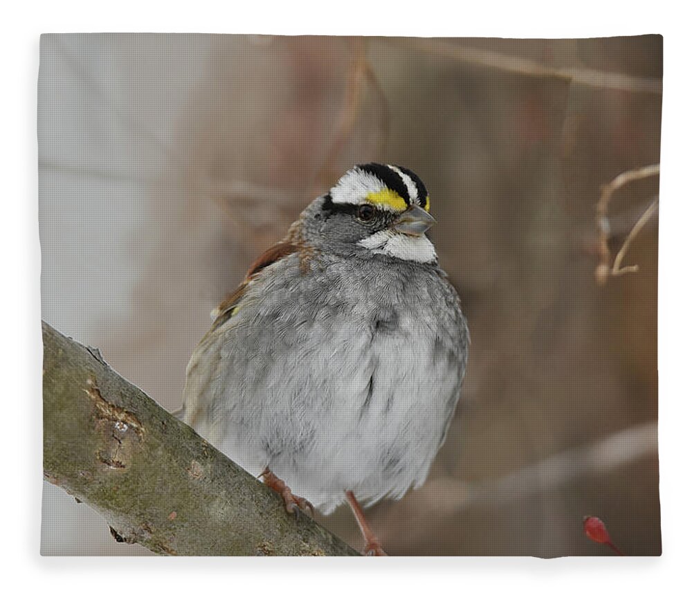 Sparrow Fleece Blanket featuring the photograph White-throated Sparrow 2 by Ann Bridges