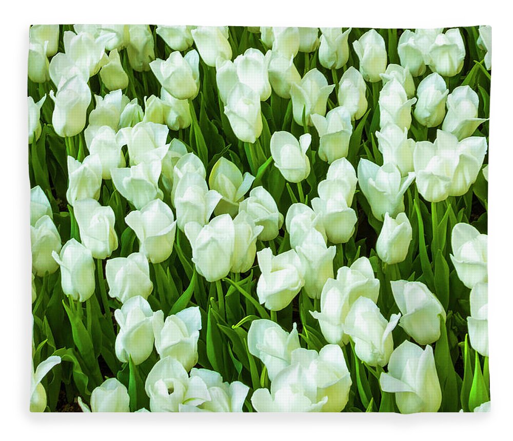 White Tulips On Green Fleece Blanket featuring the photograph White Tulips on Green by Bonnie Follett