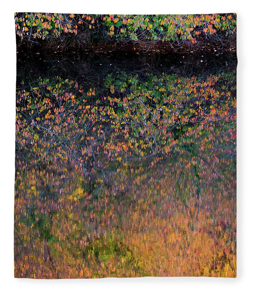 Wild Cherry Fleece Blanket featuring the photograph Wild Cherry tree in the Fall, golden reflections on the river by Anita Nicholson