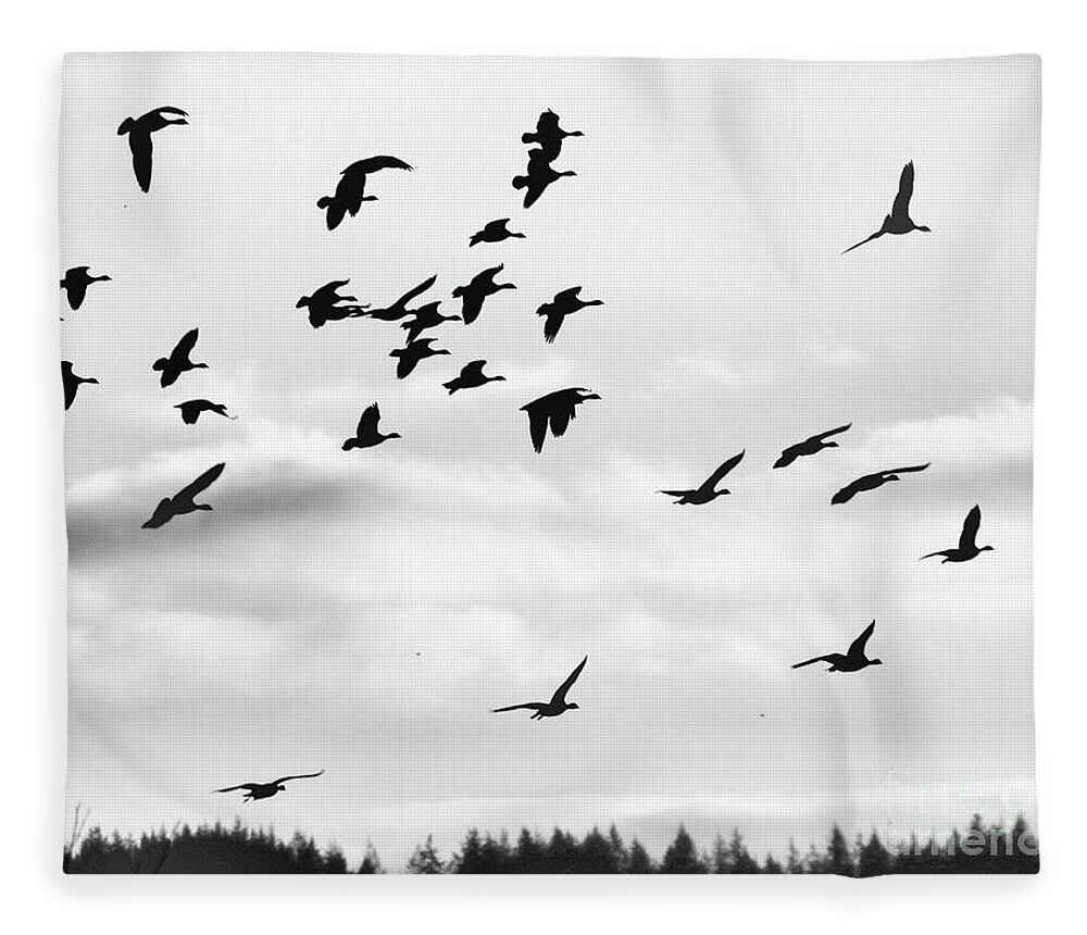 Canadian Geese Fleece Blanket featuring the photograph WIld Geese Silhouette by Scott Cameron