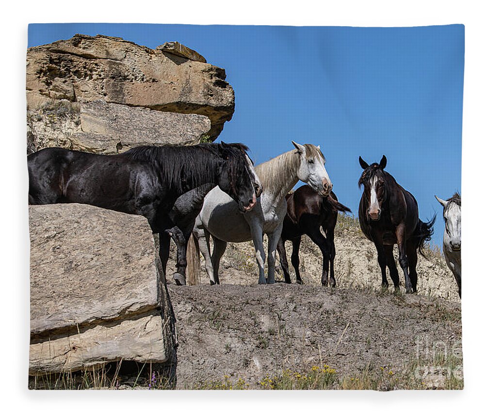 Horses Fleece Blanket featuring the digital art Wild Horses by Jim Hatch