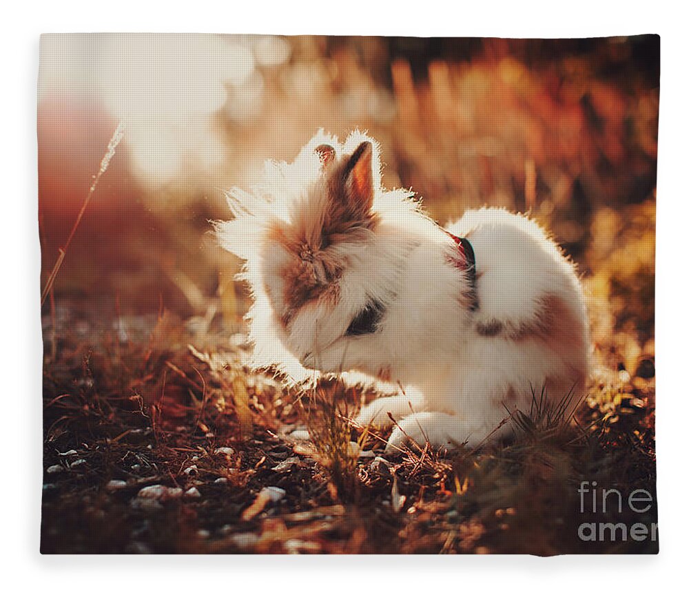 Pets Fleece Blanket featuring the photograph Wild Mocha IIi by Helena Lopes