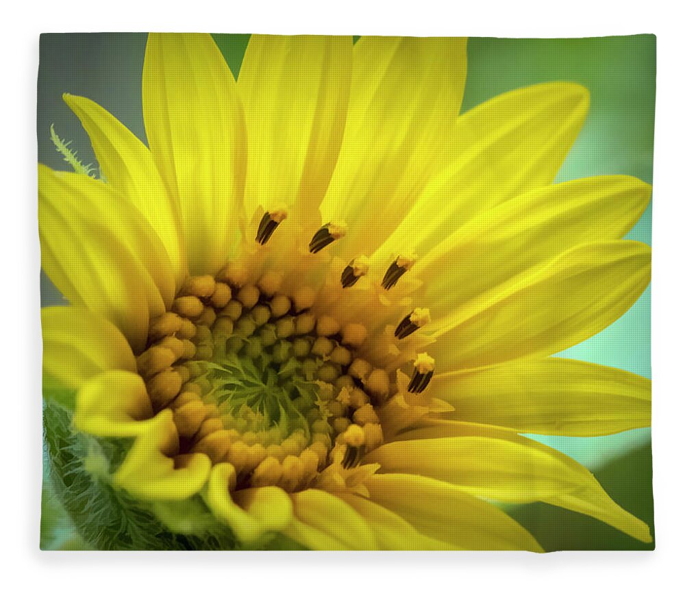 Sunflower Fleece Blanket featuring the photograph Wild Sunflower by Cathy Kovarik