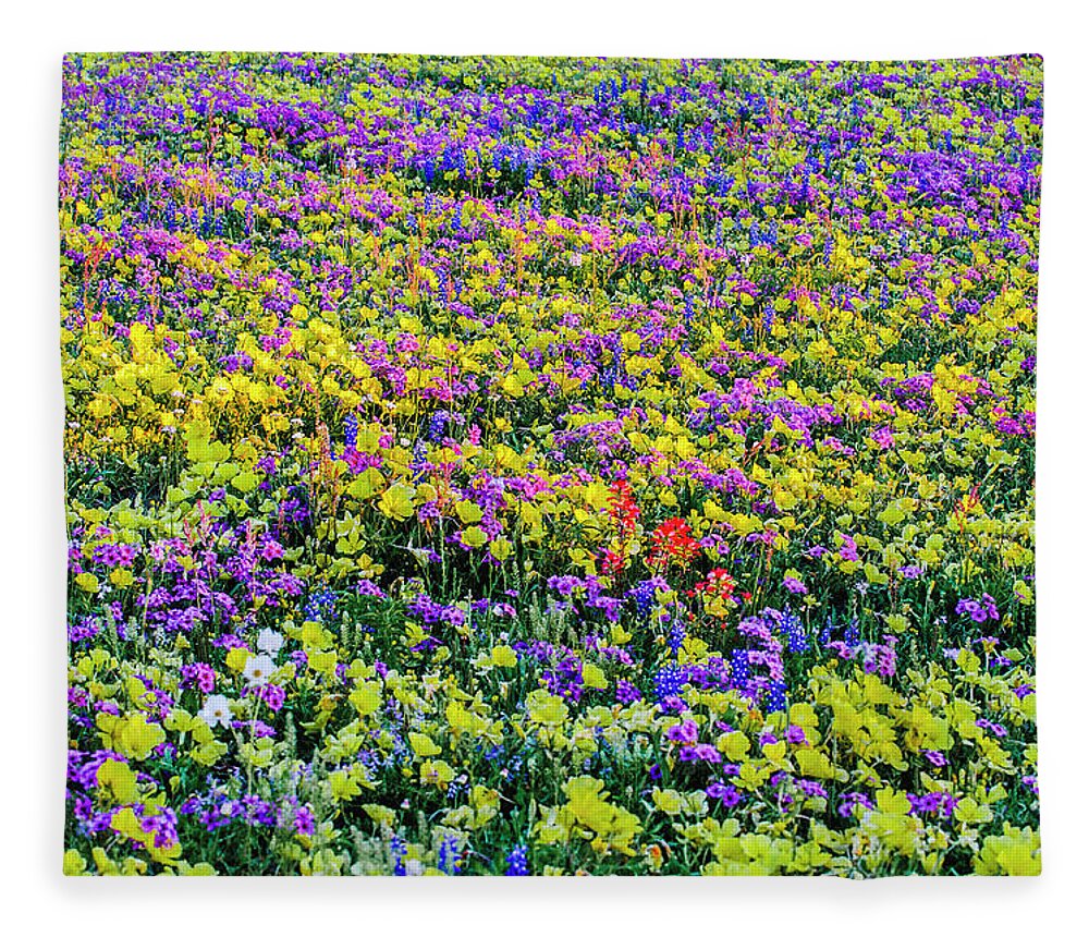 Texas Bluebonnets Fleece Blanket featuring the photograph Wildflower Bliss by Johnny Boyd