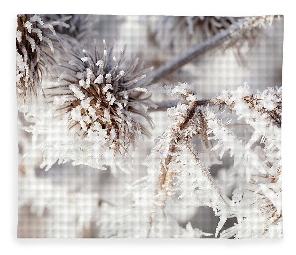 Freezing Fleece Blanket featuring the photograph Winter frost on a garden thistle close up by Simon Bratt