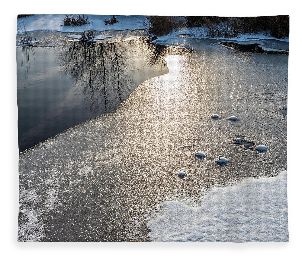 Blue Berry Fleece Blanket featuring the photograph Winter Landscape at Whitesbog by Louis Dallara
