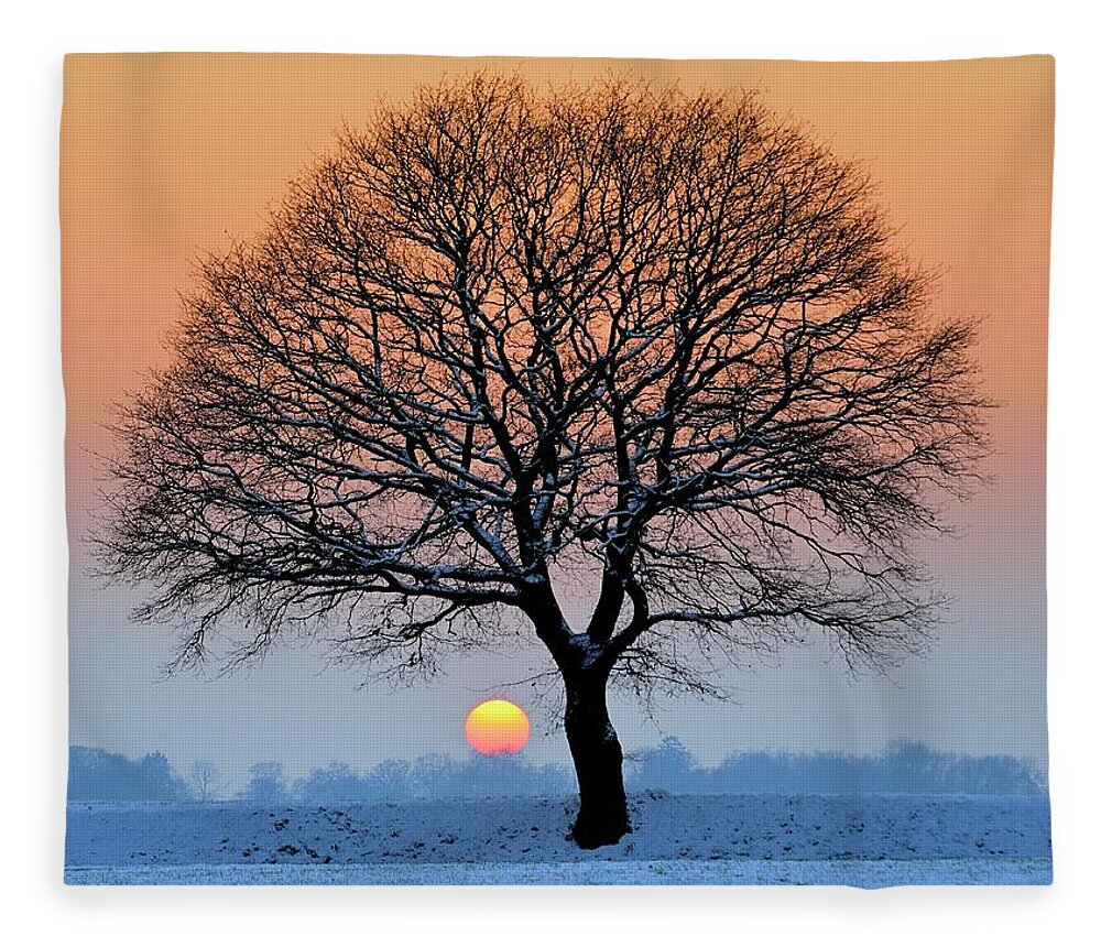 Tranquility Fleece Blanket featuring the photograph Winter Sunset With Silhouette Of Tree by Pierre Hanquin Photographie