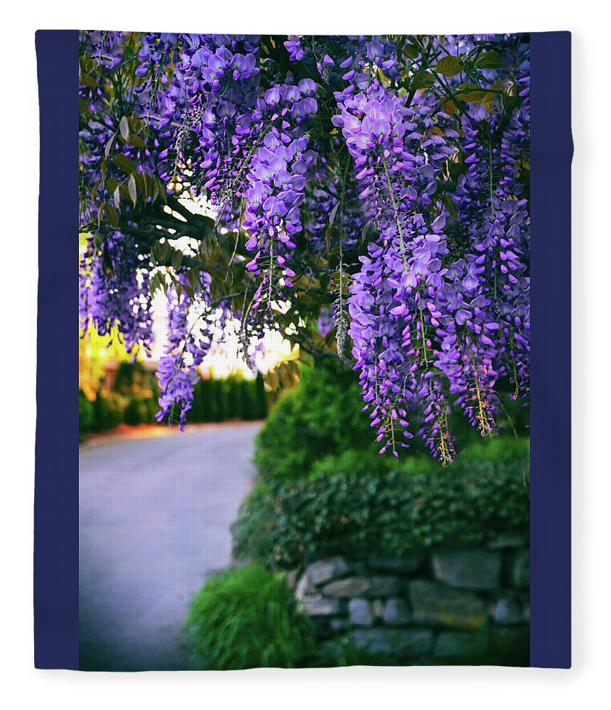 Wisteria Fleece Blanket featuring the photograph Wisteria at Sunset by Jessica Jenney