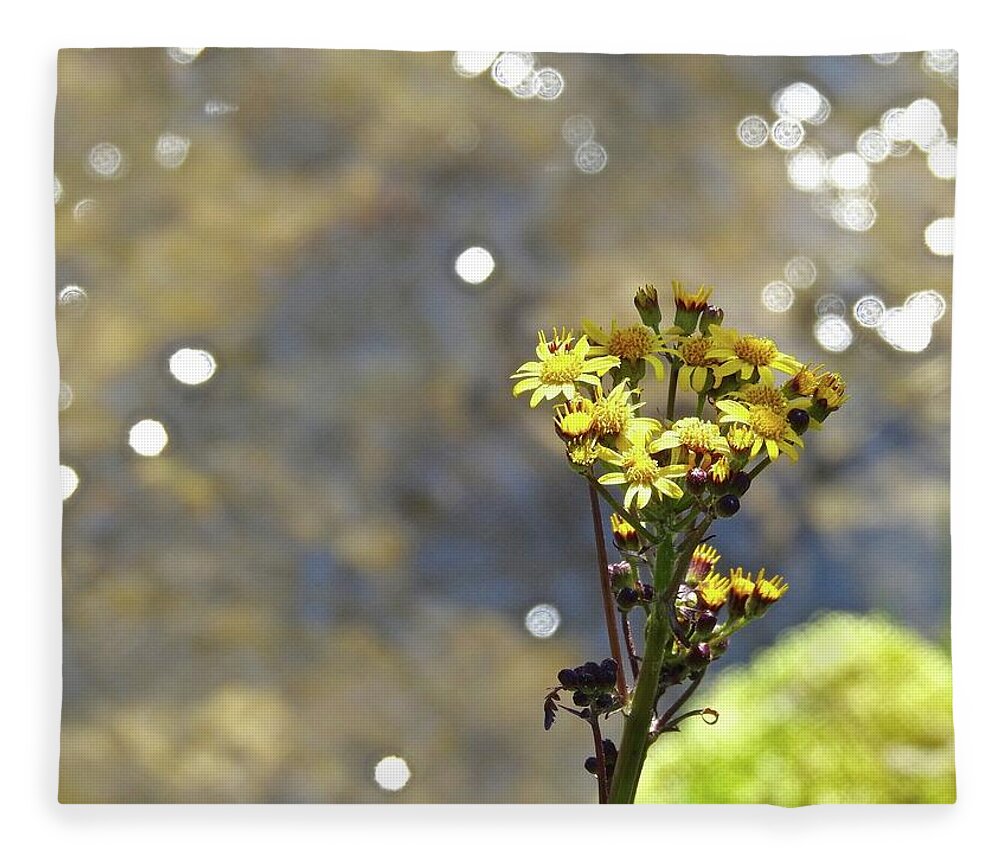 Yellow Fleece Blanket featuring the photograph Wonderful Weeds By The Water by Kathy Chism