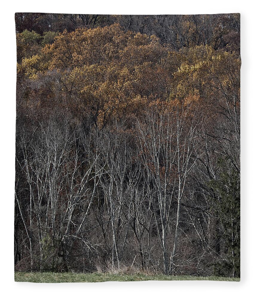 Forest Fleece Blanket featuring the photograph Woods by Paul Ross