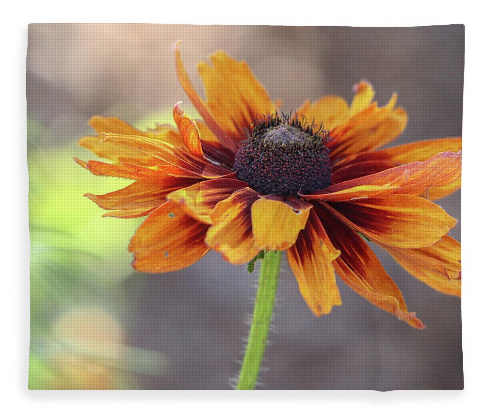 Flower Fleece Blanket featuring the photograph Worn and Weary by Mary Anne Delgado