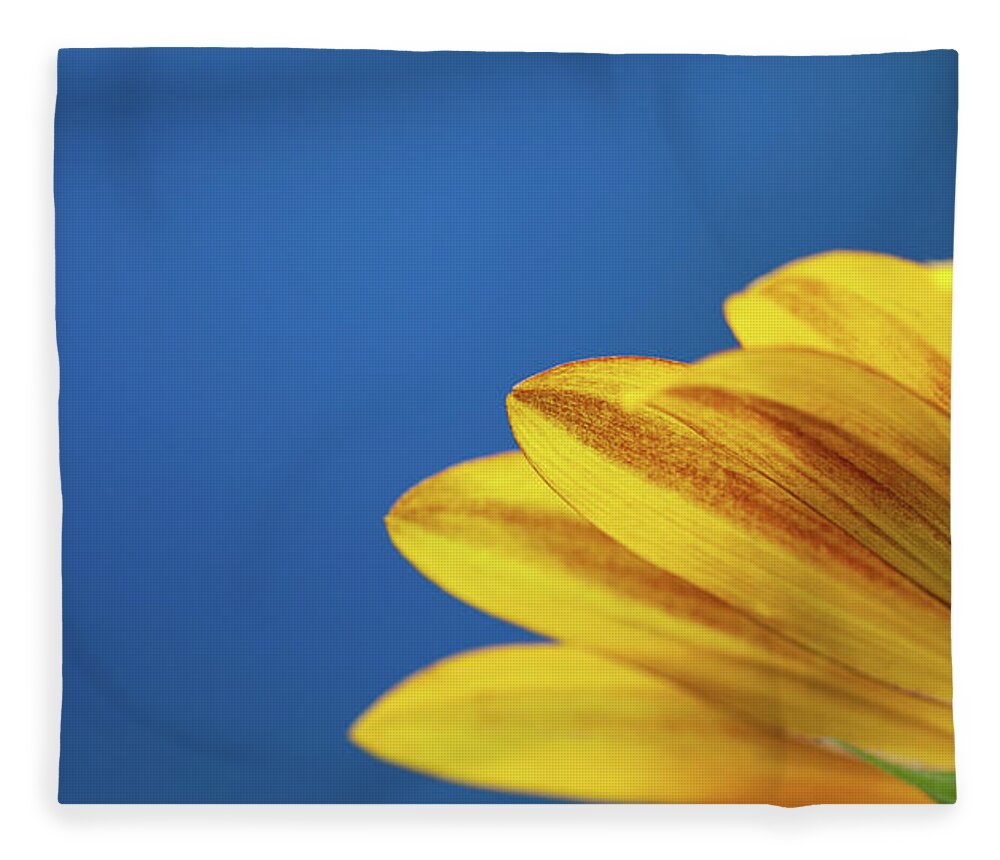 Clear Sky Fleece Blanket featuring the photograph Yellow Flower by Www.asif-ali.com