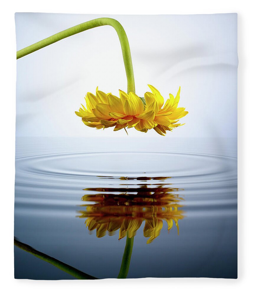 Tranquility Fleece Blanket featuring the photograph Yellow Gerber Daisy Looking Into A Pool by Chris Stein