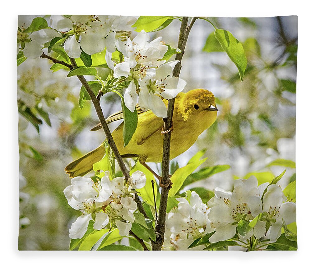 Bird Fleece Blanket featuring the photograph Yellow Warbler Among the Blossoms by Ira Marcus