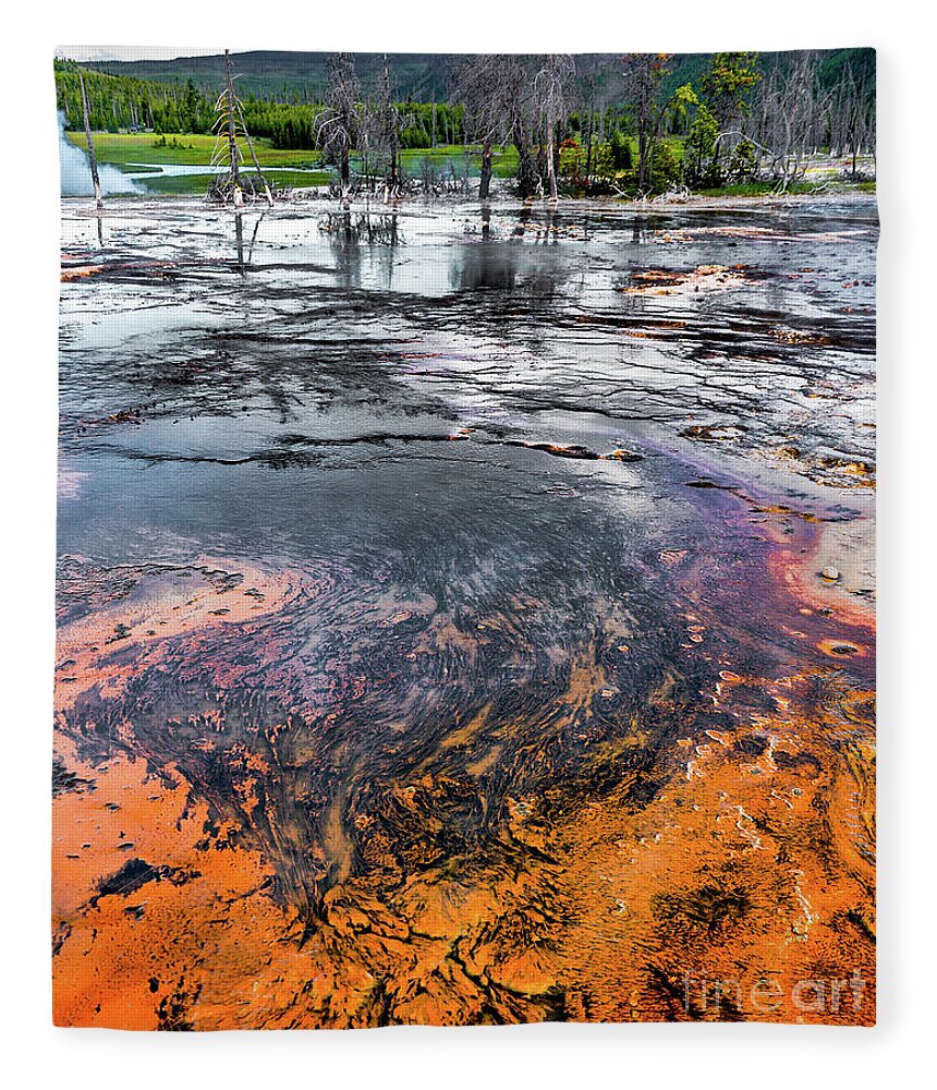 Yellowstone National Park Fleece Blanket featuring the photograph Yellowstone NP Textures by David Meznarich