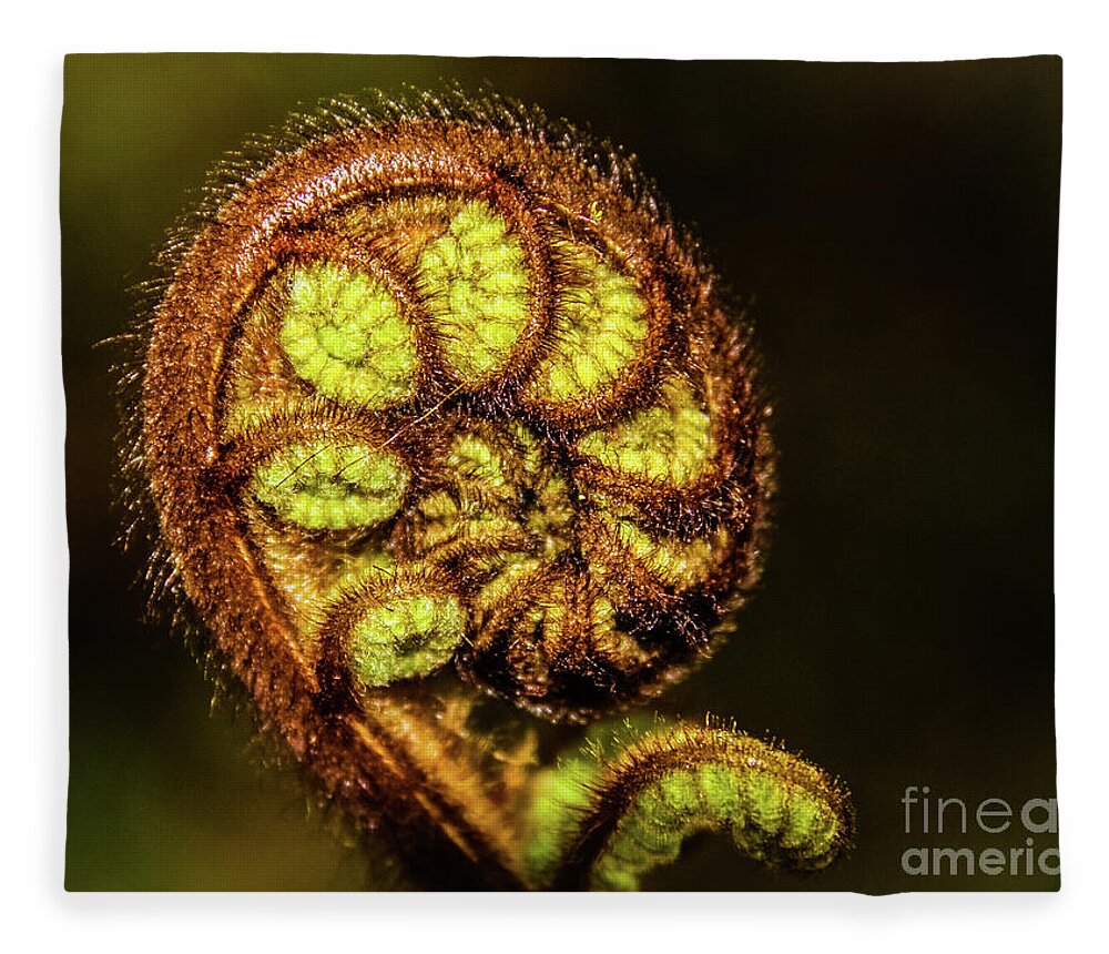 Fern Fleece Blanket featuring the photograph Young fern leaves by Lyl Dil Creations