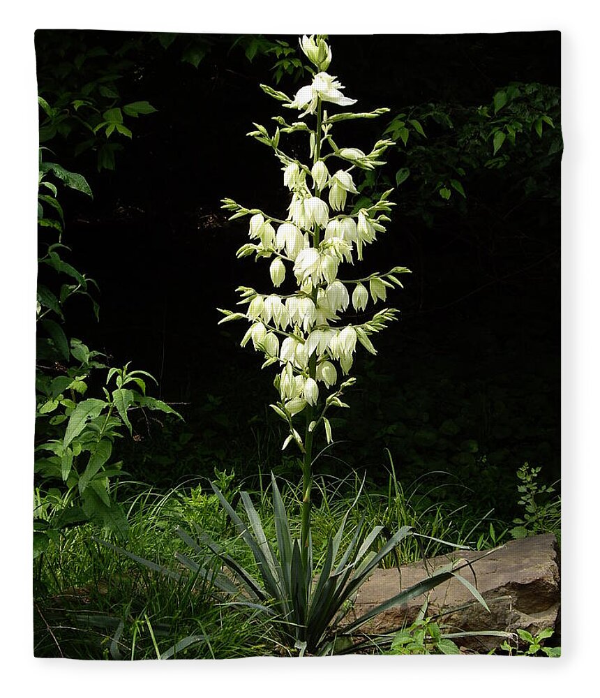 Yucca Fleece Blanket featuring the photograph Yucca Blossoms by Nancy Ayanna Wyatt