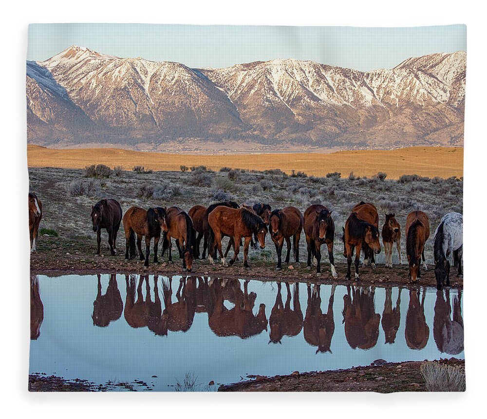 Sized For 60x48 Fleece Blanket featuring the photograph _z3a9746 by John T Humphrey