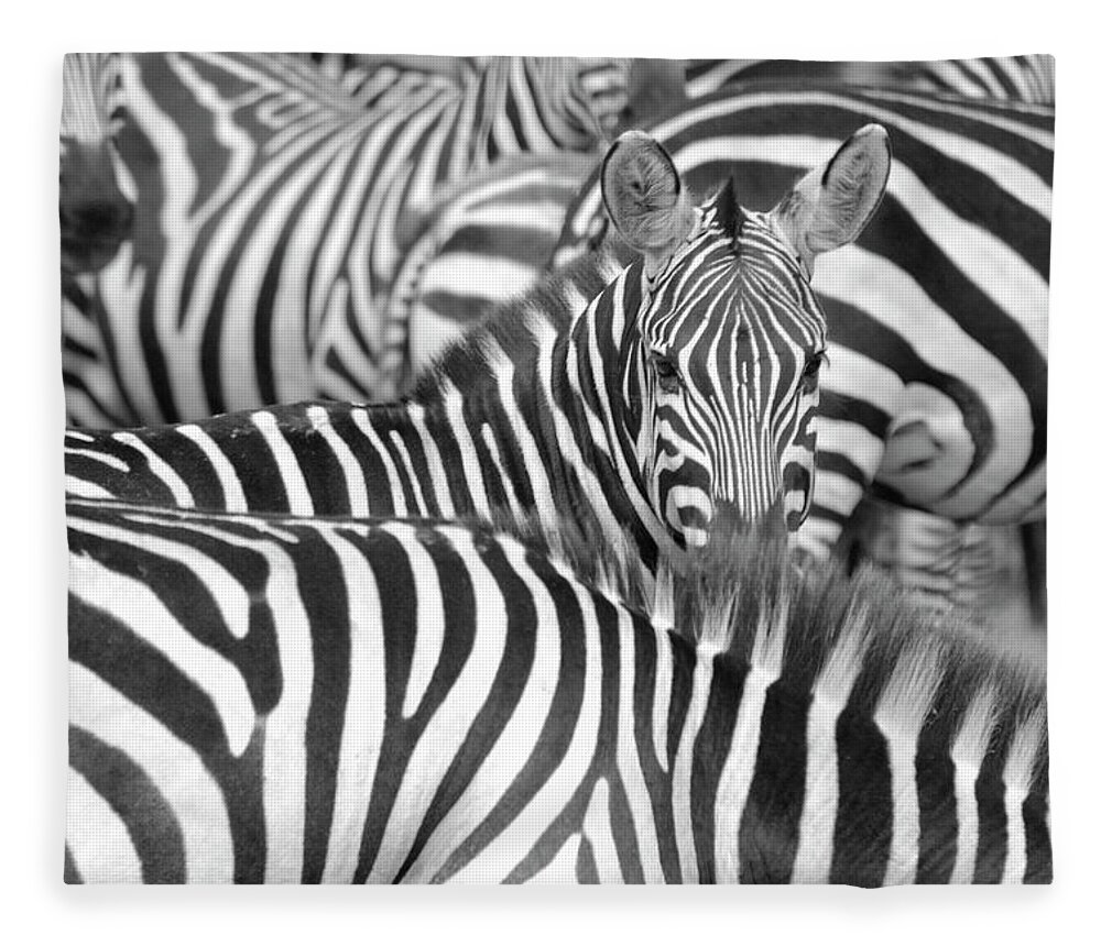 Tanzania Fleece Blanket featuring the photograph Zebra Abstract by A World Of Natural Diversity By Paul Shaw