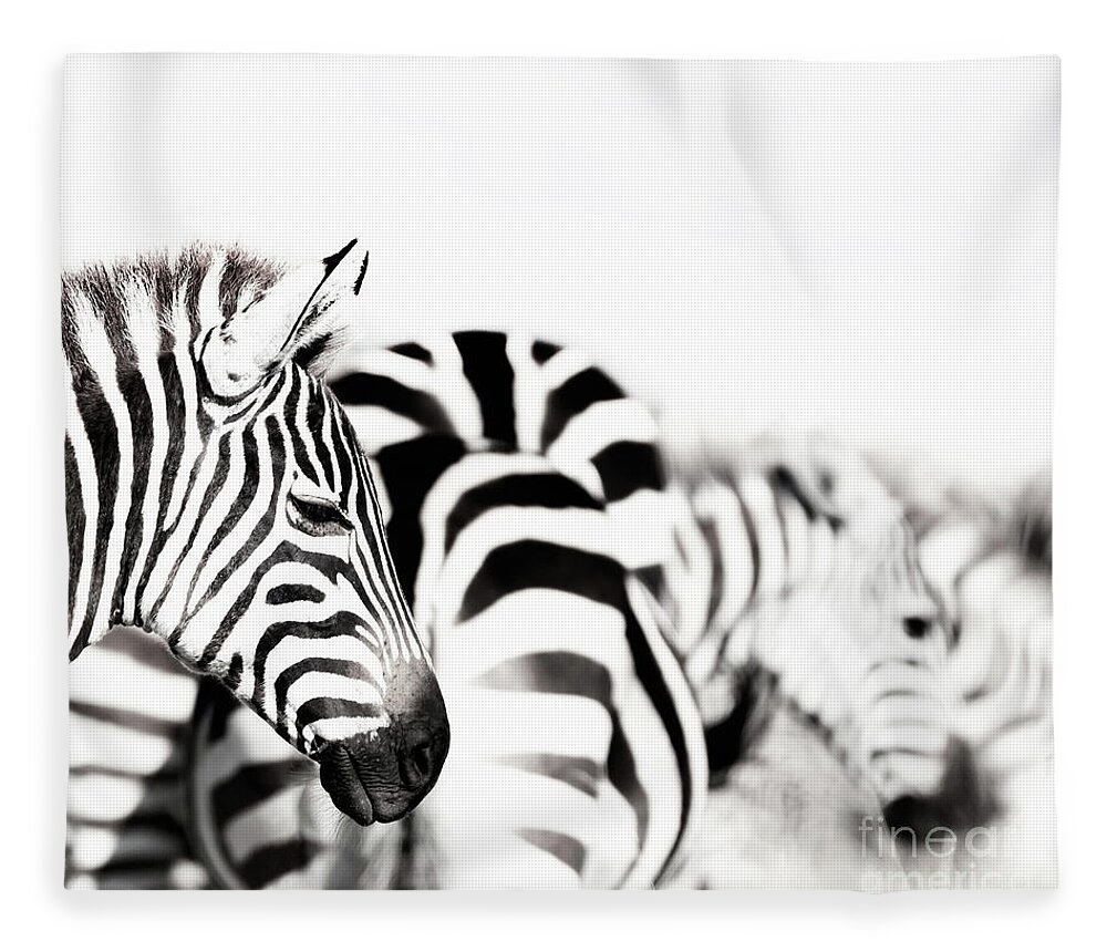 Portrait Fleece Blanket featuring the photograph Zebras black and white by Jane Rix