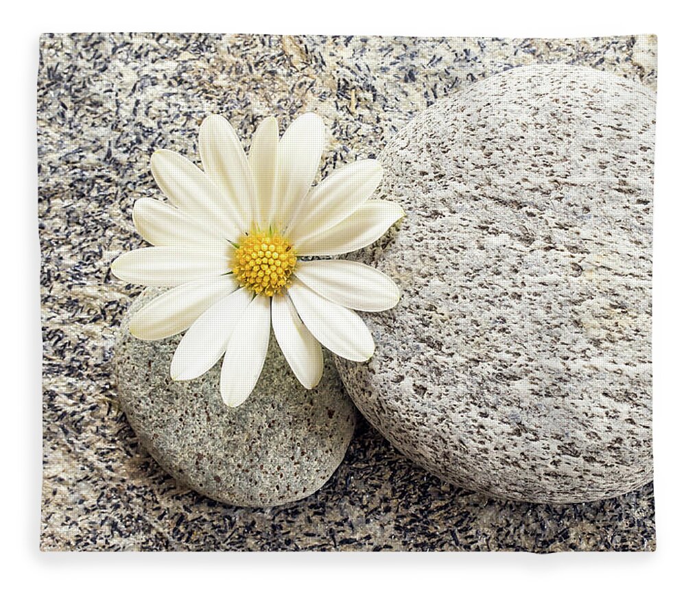 Daisy Fleece Blanket featuring the photograph Zen stone and daisy by Delphimages Photo Creations