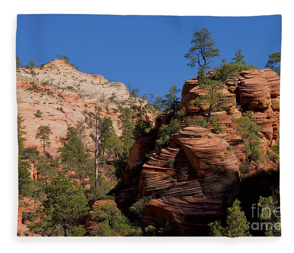 Photography Fleece Blanket featuring the photograph Zion by Sean Griffin