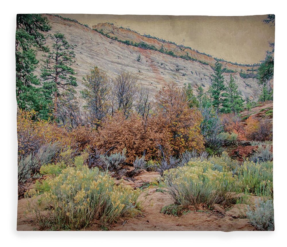 Zion Fleece Blanket featuring the photograph Zions Garden by Jim Cook