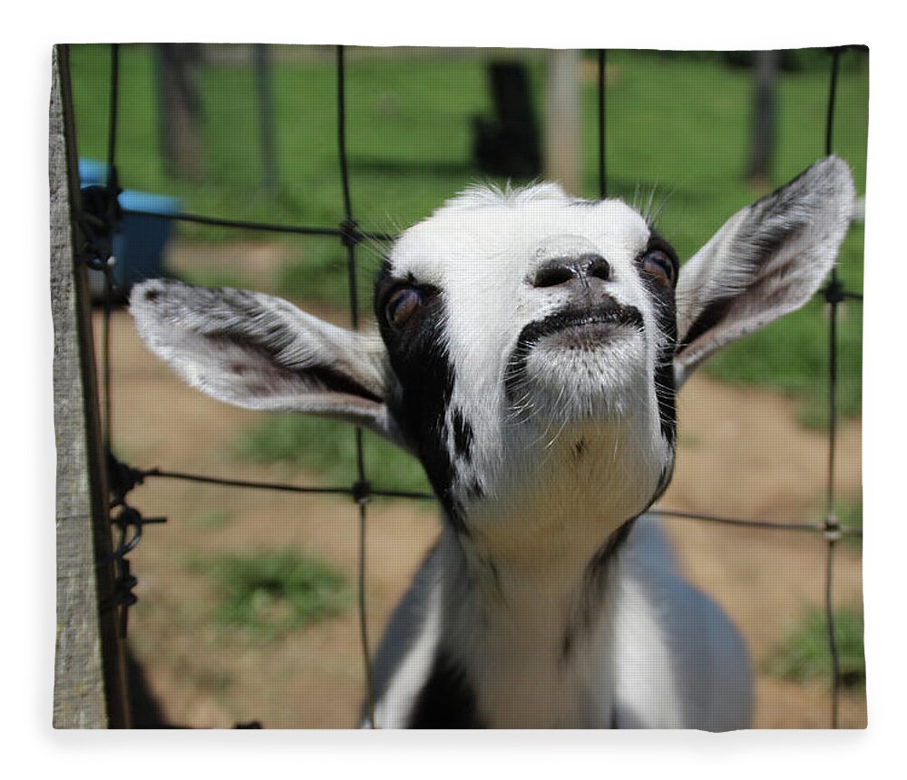 Goat Fleece Blanket featuring the photograph A Goat's Smile by Demetrai Johnson