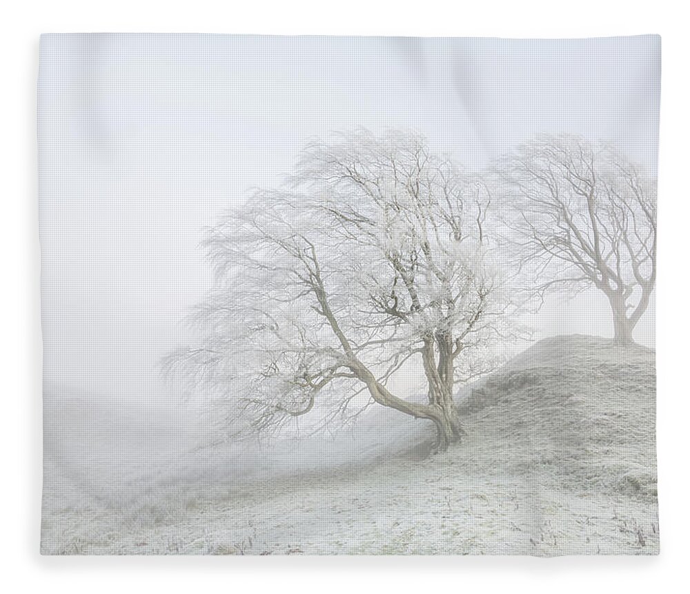 Winter Fleece Blanket featuring the photograph Sentinels by Anita Nicholson