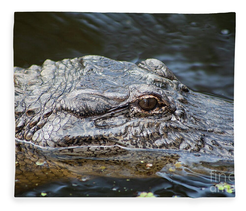 Alligator Fleece Blanket featuring the photograph Alligator Eye #1 by Kimberly Blom-Roemer