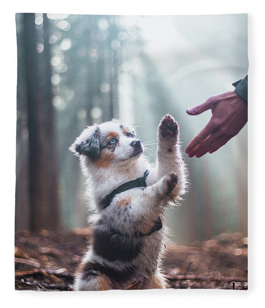 Breed Fleece Blanket featuring the photograph Australian Shepherd puppy by Vaclav Sonnek