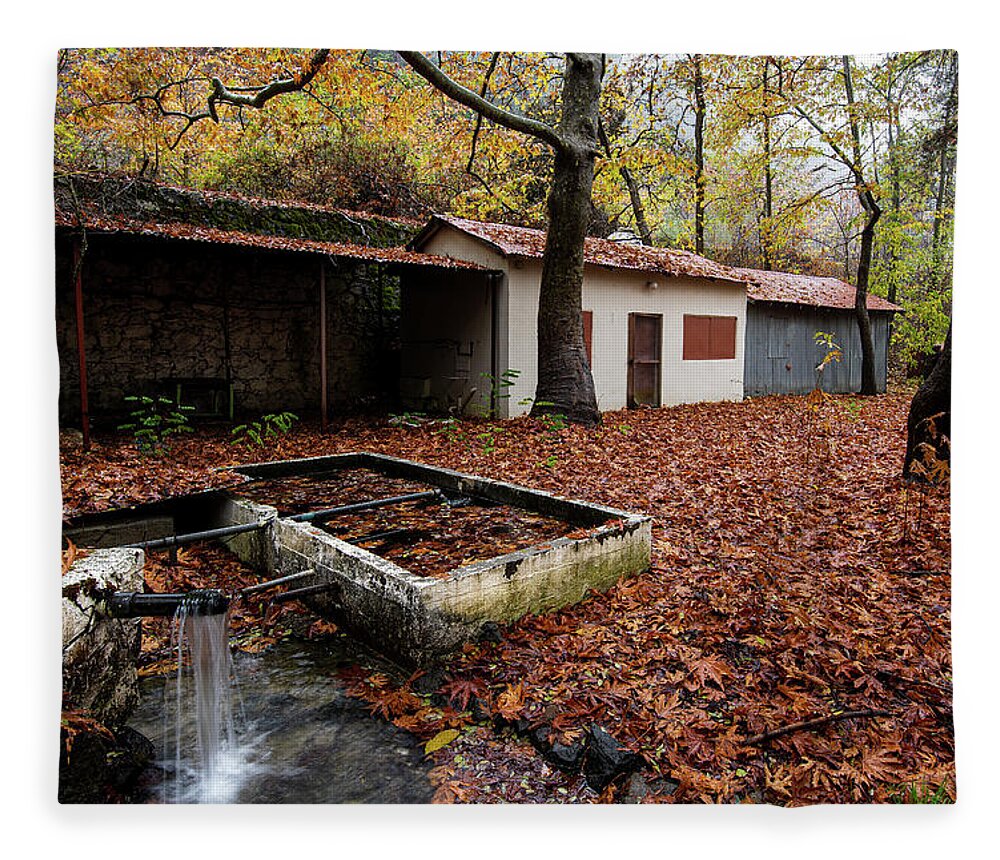 Autumn Fleece Blanket featuring the photograph Autumn Landscape by Michalakis Ppalis