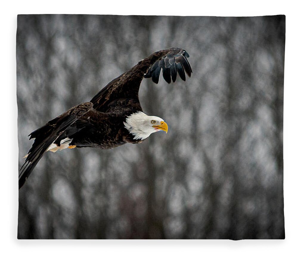 Bald Eagles Fleece Blanket featuring the photograph Bald Eagle #1 by Patrick Boening
