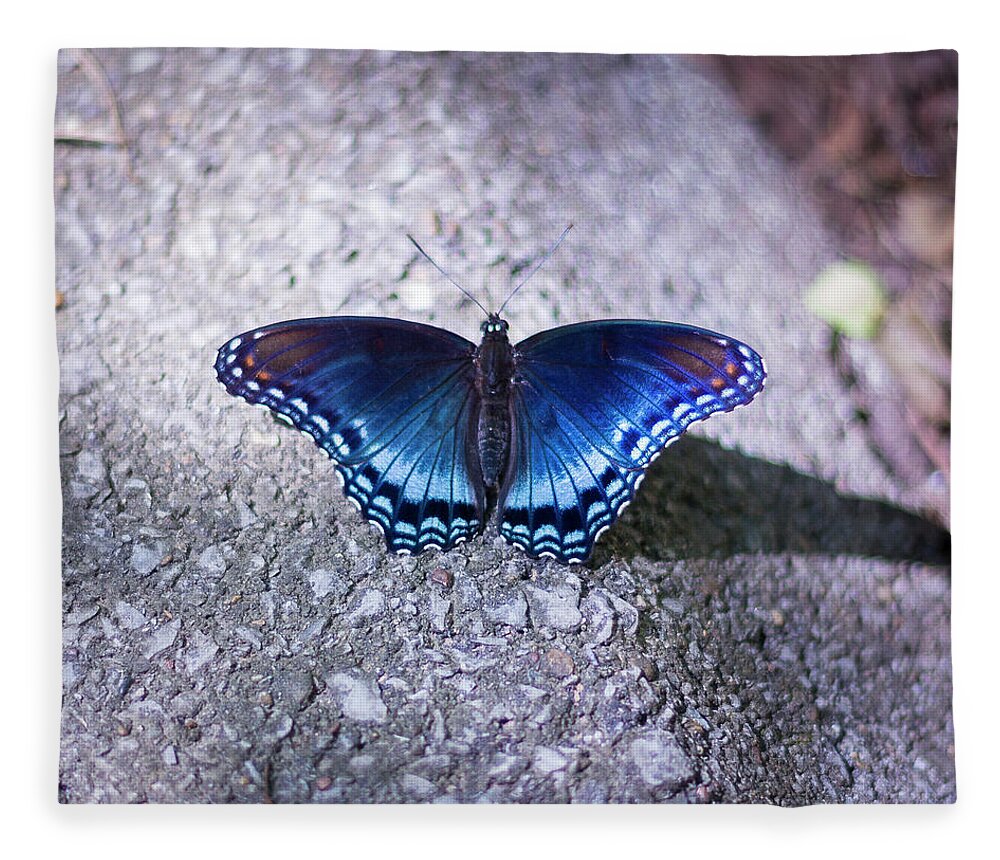 Butterfly Fleece Blanket featuring the photograph Blue Butterfly by David Beechum