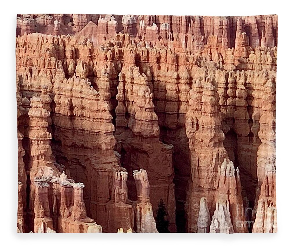 Bryce Canyon Fleece Blanket featuring the digital art Bryce Canyon #1 by Tammy Keyes