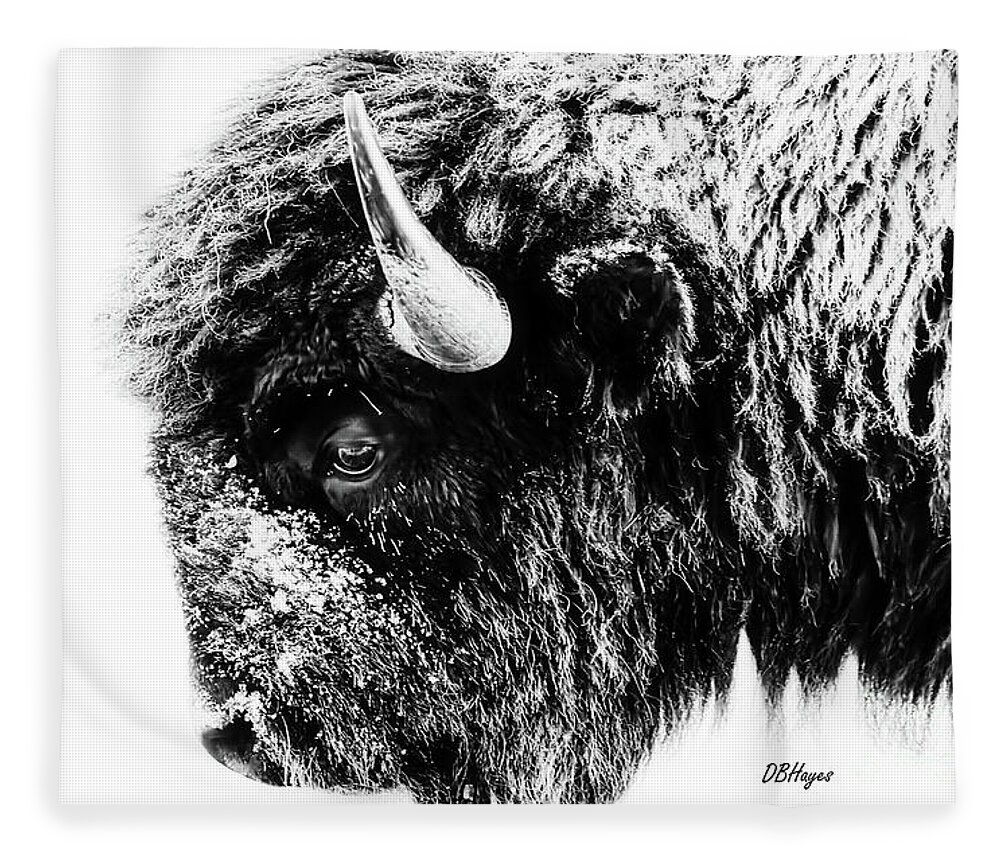 Buffalos Fleece Blanket featuring the photograph Buffalo Black and White Portrait II by DB Hayes