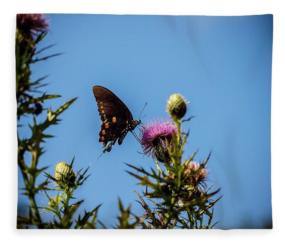 Butterfly Fleece Blanket featuring the photograph Butterfly #1 by David Beechum