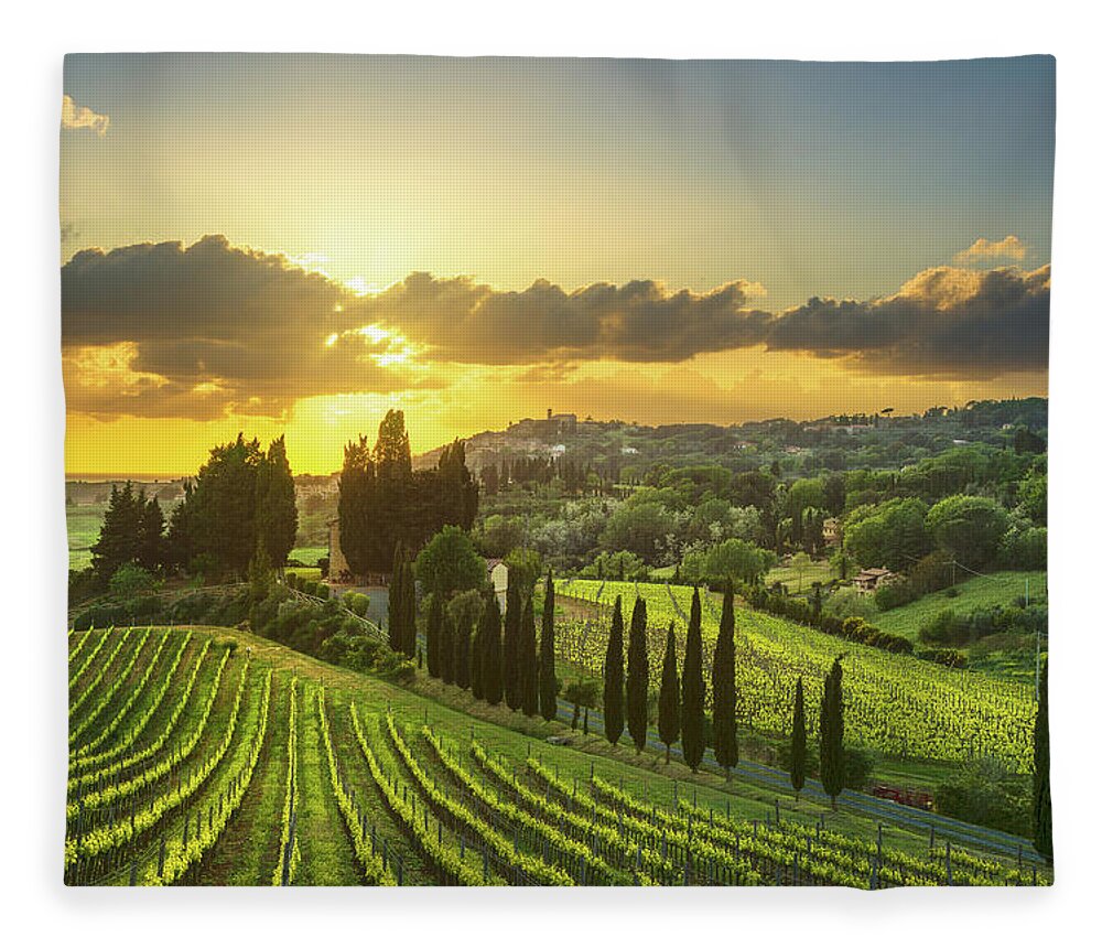 Casale Fleece Blanket featuring the photograph Vineyards in Alta Maremma at Sunset by Stefano Orazzini