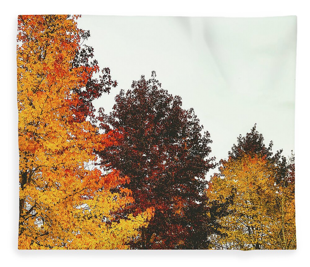 Trees Fleece Blanket featuring the photograph Fall by Anamar Pictures