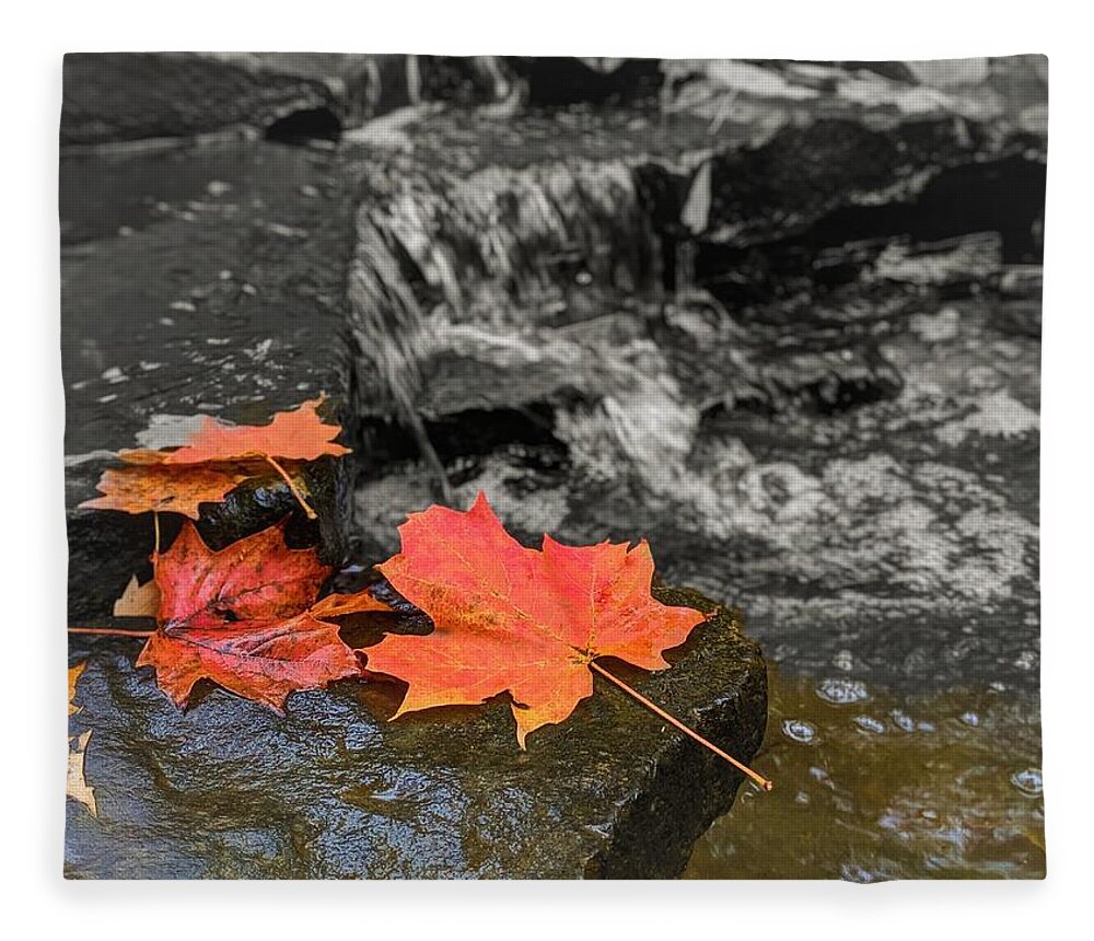  Fleece Blanket featuring the photograph Fall Leaves by Brad Nellis