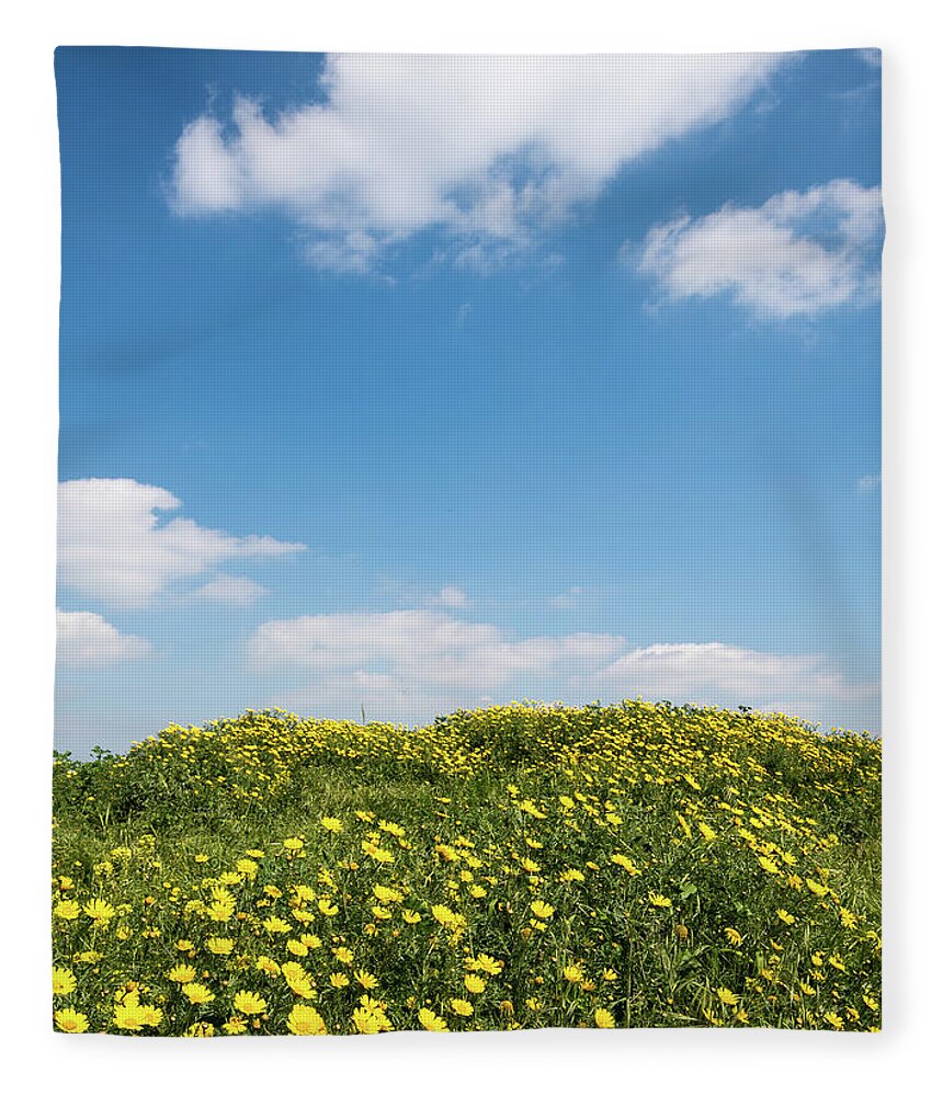 Flowers Fleece Blanket featuring the photograph Field with yellow marguerite daisy blooming flowers against and blue cloudy sky. Spring landscape nature background by Michalakis Ppalis