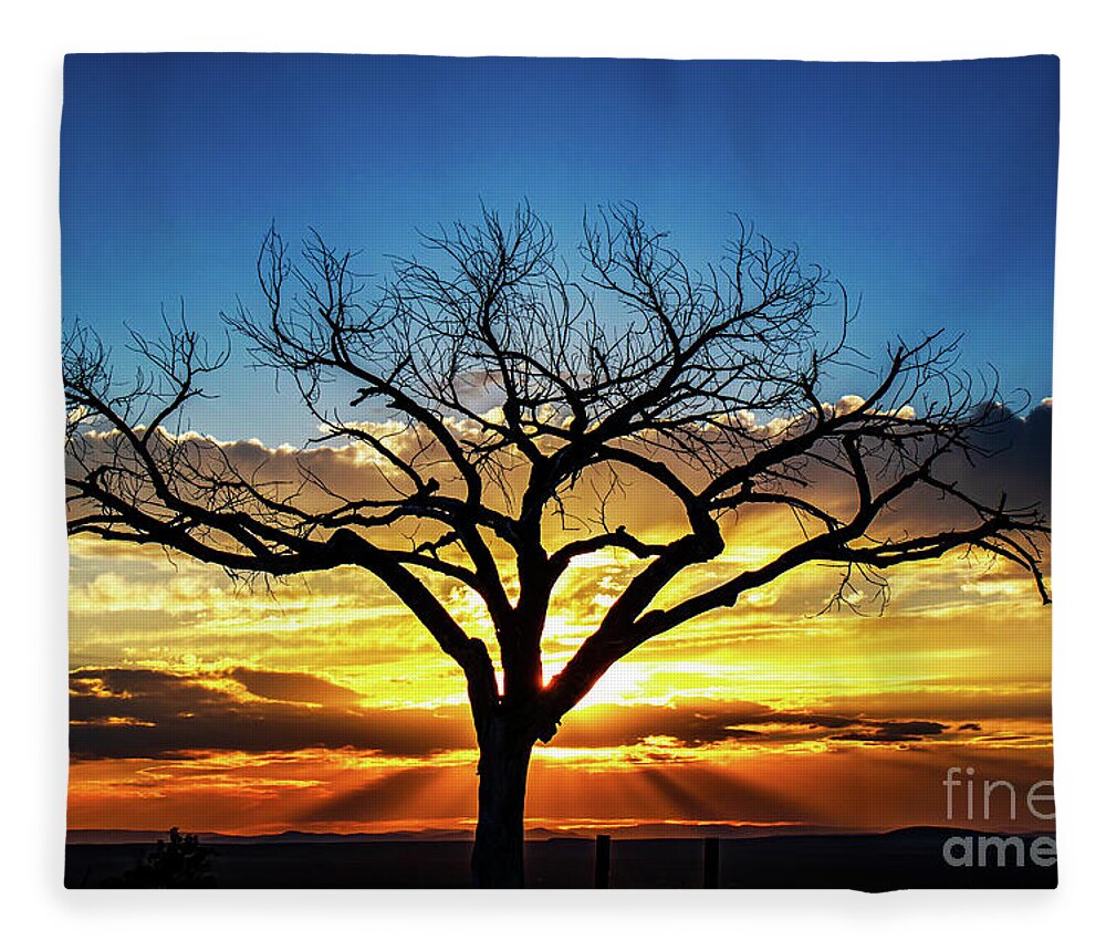 Taos Fleece Blanket featuring the photograph Gorgeous sunset with the Taos Welcome Tree by Elijah Rael