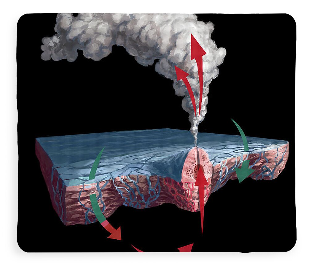 hydrothermal vent diagram