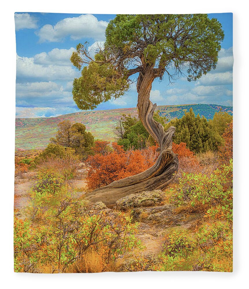 Juniper Tree Fleece Blanket featuring the photograph Juniper Tree, Black Canyon of the Gunnison National Park, Colorado by Tom Potter