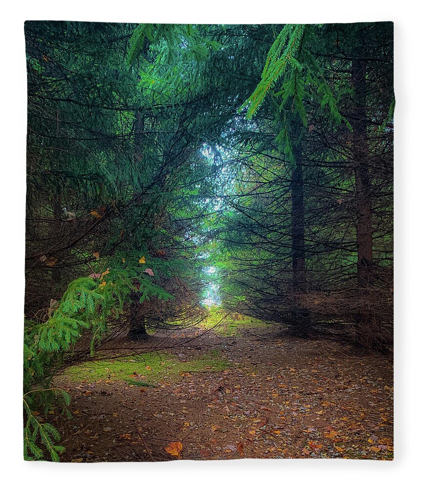Fall Fleece Blanket featuring the photograph Light at the End #2 by Lora J Wilson